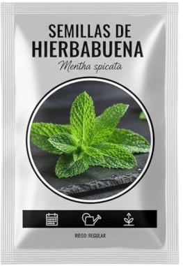 Semillas de Menta Verde para Plantación Doméstica DECOALIVE