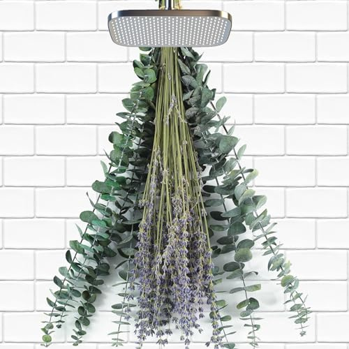 70 Pcs Dried Eucalyptus Stems & Lavender Flowers Bundles for Shower Hanging | 17'' Natural Eucalyptus Leaves, Real Branches, Shower Plants, Home SPA Fragrance, Wedding, Table Vase Filler, Bathroom Decor