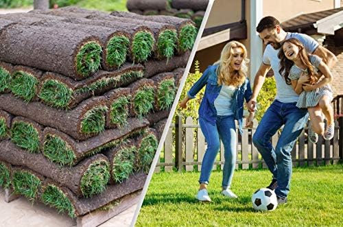 Rollrasen – 10m² echter Fertigrasen - Sorte: Premium Sport- und Spielrasen - Vorgedüngt - Frisch geschält - Gekühlt Geliefert (10 bis 500 qm verfügbar)