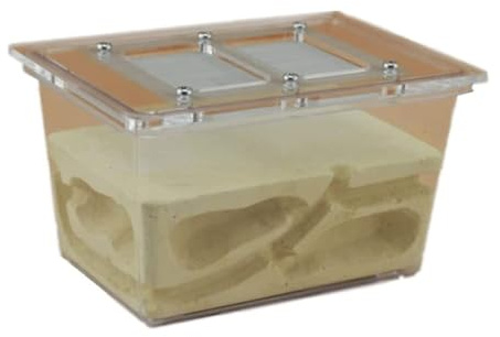 Ant Farms Ant Castle Research Ecosystem Farm Small Tetrahedral Nest Science Experiment Kit