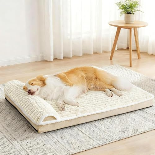 Jolibean Orthopädisches Hundebett Grosse Hunde, Hundekorb Mit Kissen Mittelgroße Hunde, Flauschig Hundesofa Wasserdicht rutschfest, Maschinen Sind Waschbar, 106x71cm, Creme