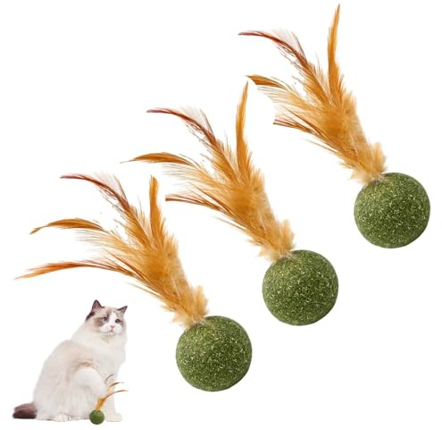 Générique 3pack A Chat Séchée, Boule De Plumes D'herb À Chat pour Chaton, À Mâcher pour Chaton en Toute Sécurité Et en Bonne Santé