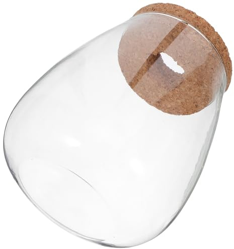 Kisangel Lot de 2 Vases Hydroponiques en Verre Décoratifs avec Bouchon en Liège, Grand Format, Contenant à Eau pour Propagation de Plantes, Accessoires pour Jardinage D’intérieur