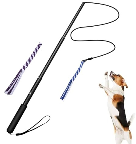 Utdragbar Hund Retpinne Utdragbar, förlängningsbar, avtagbar | Interaktiv Hund Flirtpole Dragkamp Valpaktiveringsspel under utomhusmotion, underhållning, lek och