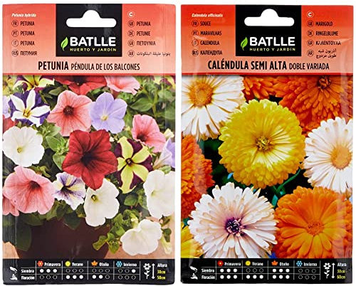 Petunia PENDULA de los Balcones & Caléndula semi alta doble variada