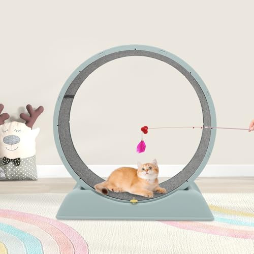 LOYEMAADE Laufrad Katze groß 80cm Katzenlaufrad mit Cat Teasing Stick,Cat Wheel mit Verriegelungsmechanismus,Laufrad Katzen für Gesunde Bewegung,Trainieren oder zu Spielen