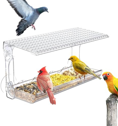 Distributore di mangime per uccelli per esterni, trasparente, resistente alle intemperie, con forte assorbenza, per il giardino, per mangimi acqua, fringuelli, patio voliere, casa