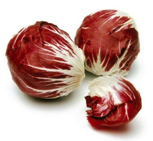 Radicchio Ball Pink Vitamin Pack 100 Seeds: Package Contains Seeds