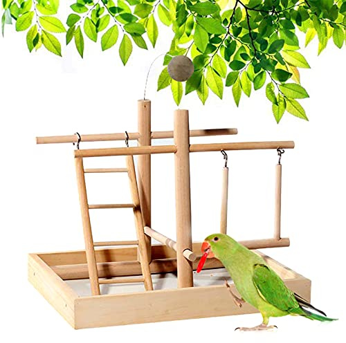 CHSEEO Juguetes Agapornis, Parrot Playstand Bird Playground, Play Gym Stand Playpen Juguetes Agapornis, Puente de Las Aves, Jaulas para Agapornis, Pajaros Pequeña, 28 x 22 x 23 CM