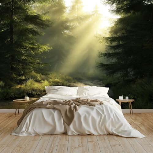 Moda Art Papel Tapiz Puesta De Sol Bosque Paisaje Natural Arte Mural de Papel Pintado 250x175 cm Fotomural Decoración de Papel Tapiz Fondo de Pared de Tv de Fotografía, Verde