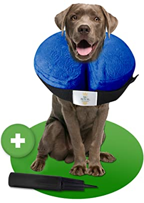 MC-Royal®Premium Halskrause - aufblasbare Premium Halskrause für Hunde und Katzen [zuverlässiger Schutz] - Halskrause Hund - hundekragen leckschutz- Halskrause Katze - Leckschutz Hund - Blau - Gr.L