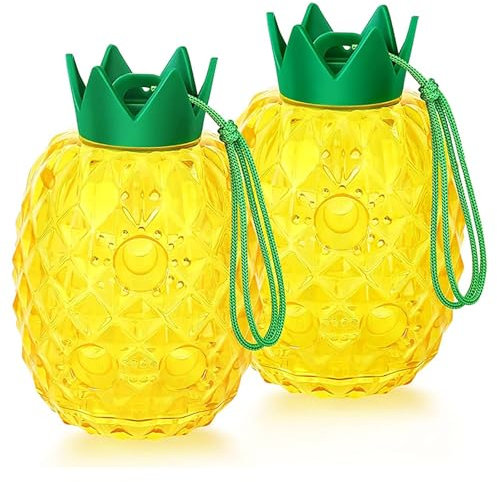 Lot de 2 pièges à guêpes - Amovibles et réutilisables - Sans appât - Vestes jaunes et attrape-abeilles - Pour l'extérieur - Forme de sablier