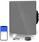 BSEED Smart WiFi 1 Gang 1 Way Alexa Switchable Switches Grey, Glass Panel Wall Light Switch, Voice/App Control Sharing WiFi Switches(Neutral Wire Required)