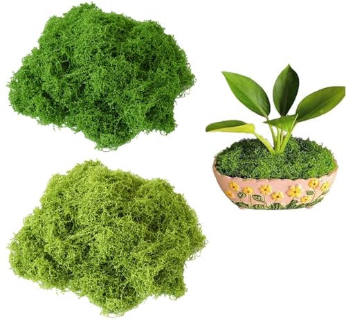 Amusingtao Kunstmoos Zum Dekorieren, Kunstmoos Zum Basteln, Moos in 2 Versch Farben, Künstliches Moos, Fake Moos Dekorieren, Moos Konserviert, Deko Moos, Dunkelgrün 100g + Hellgrün 100g