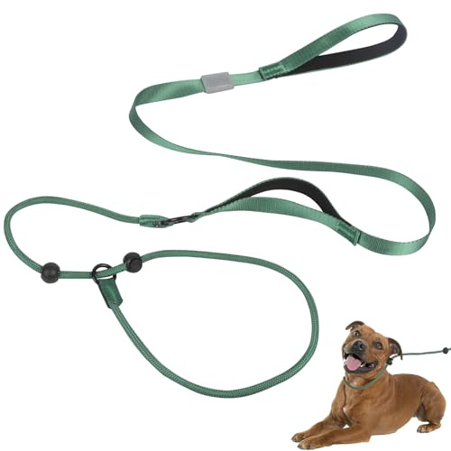 Slip Lead for Dogs, Two Handle Dog Slip Collar Anti Choking, 1.7m Dog Lead with Soft Foam Padded Climbing-Grade Nylon Rope Halter, Training Leash (Green)
