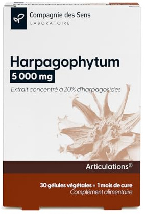 Artiglio del diavolo (Harpagophytum) 5000 mg – Alta concentrazione di arpagosidi – Cura intensiva di 1 mese