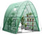COSTWAY Foliengewächshaus Gewächshaus, Treibhaus mit Allwetter-PE-Abdeckung, Rolltür und Fenster, Tomatengewächshaus Tomatenhaus, Pflanzenhaus für Tomaten & Topfpflanzen (181x181x200 cm, Grün)