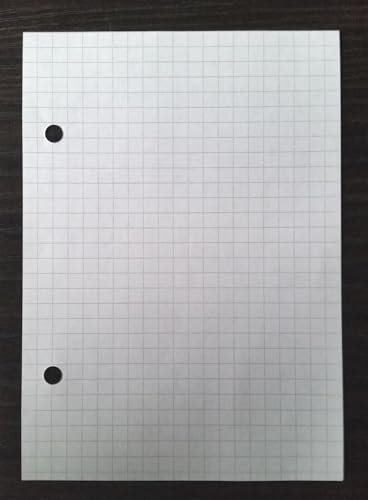 500 Blatt A6 kariertes Papier, Ringbucheinlage, Zetteleinlage 2-Fach gelocht 80g/m2 (Blattgröße 105 x 148mm)