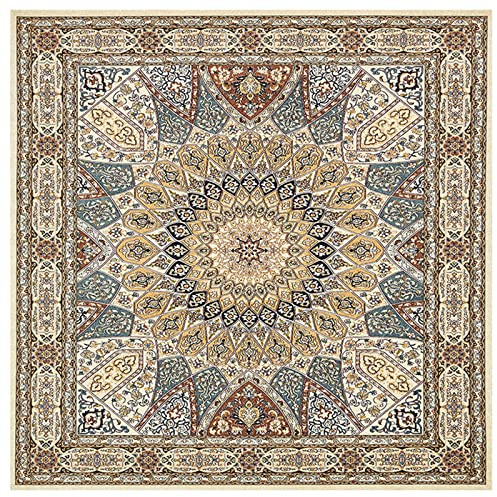 CXYKN Tappeti quadrati per interni ed esterni con retro antiscivolo, morbido tappeto per divano, soggiorno, cucina, camera da letto, giardino, patio, decorazioni per la casa, bordo vintage tradizi