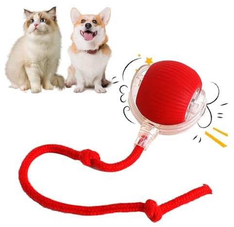 USB Rechargeable, Interactive Cat Ball - Smart, Automatic Moving Toy for Indoor Cats, Stimulates Hunting Instincts (Red)
