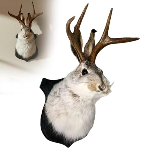 Supporto da parete con coniglio, decorazione a testa di animale in finta pelliccia, esemplare unico di bestia con le corna di coniglio, stravagante arte tassidermica per soggiorno, camera da letto