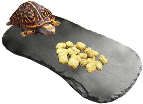 Tfwadmx Plateforme de prélasse pour Reptile, 28 x 14 cm, pour Tortue, mangeoire, Nourriture, Tortue en Ardoise, Plate-Forme de Repos pour lézard, Gecko, Dragon Barbu, caméléon, Serpent, Grenouille