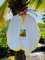 Freds Swim Academy 20711 Poncho aus weichem Velours - Frottee mit Fred & Gina Motiv, ca. 60 x 55 cm, weiß