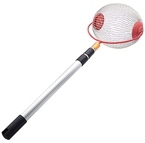 Stainless Steel Nut Gatherer with Rolling Garden Fruit Picker for Walnut Chestnut Pecans Easy Nut Collector for Garden Harvesting