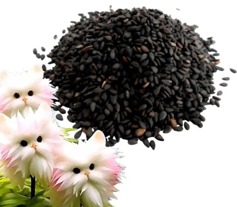 Seme Di Orchidea A Faccia Di Gatto, Migliora La Purezza 'aria Seme Di A Faccia Di Gatto, Novità Carina Semi Di Orchidea Sempreverde Per Principianti