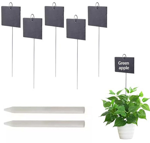 ANQIA Lot de 5 étiquettes rectangulaires pour plantes en ardoise avec piquet en acier inoxydable et marqueur imperméables pour fleurs, herbes, plantes en pot, graines