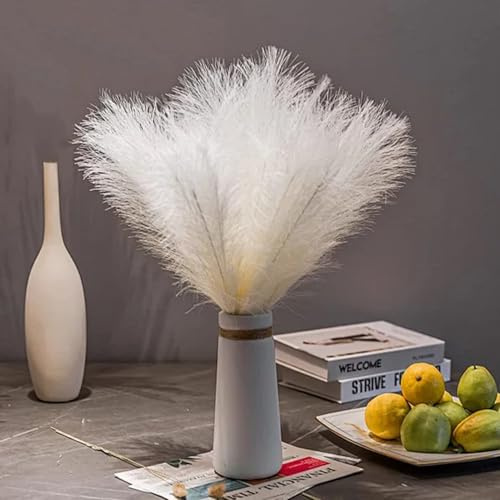 TILONKJ 30 pezzi Pampas Decorative, 55cm Pampas Decorative Alte, Piume Decorative per Vaso, Piume Decorative Lunghe, Per Matrimonio, Soggiorno, Arredamento Boho, Casa (Bianco)