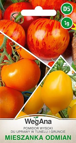 WegAna Tomates Hautes pourTunnel et Champ 1g Graines Trois Couleurs Mélange de Variétés Graines de Tomates Graines de Légumes Robustes, Graines de Légumes Culture Semences pour Serre Jardin
