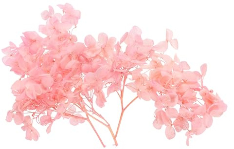 PATIKIL Fiore Di Ortensia Essiccato, 10g Fiori Pressati Naturali Petali Di Ortensie Reali Per DIY Artigianato In Resina Decorazioni Floreali Per Carte Regali Candele Decorazioni.