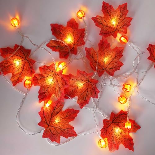 Auting Catena luminosa autunnale con foglie d'acero e zucca, 3 metri, 20 LED, per autunno e interni, funzionamento a batteria, per decorazione autunnale, giorno del Ringraziamento e decorazione