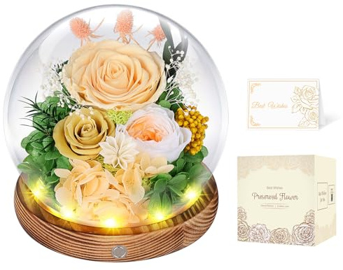Preserved Roses in Glass Dome with LED Light, Gifts for Women (Champagne) | Real Flowers for Delivery,Forever Eternal Roses, Gift Box&Card, Birthday gifts for Mum Wife Her, Anniversary Christmas Gift