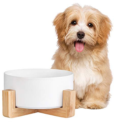 Gamelle Chat - Gamelle Chien avec Support Bois - Gamelles pour Chats Chiens en Ceramique Facile à Nettoyer - Bol Chat Chiot pour la Nourriture et l'eau 850 ML