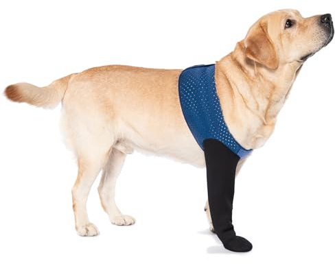 COODEO Calzini Protettivi per Cani Antileccatura, Copri Zampe con Suola Antiscivolo per Protezione Ferite e Guarigione, Scarpette Impermeabili (Blu, M_Destra)