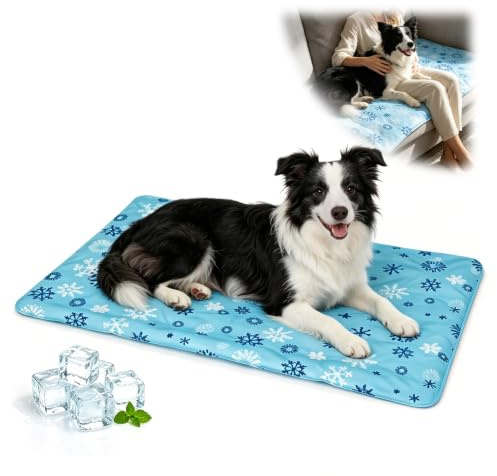 Kylmatta för medelstora hundar 60×90 cm lämplig för corgis och beaglar | Klöstålig sommarmatta med dubbel läckagesäker försegling för lång kylning, vattentät för hem resor och bil