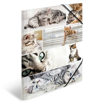 HERMA 19219 - Carpetas A3 con diseño de animales y gatos, 3 unidades, carpeta de esquina infantil de cartón con impresión interior y banda elástica, juego de carpetas de cartón resistente para niños y