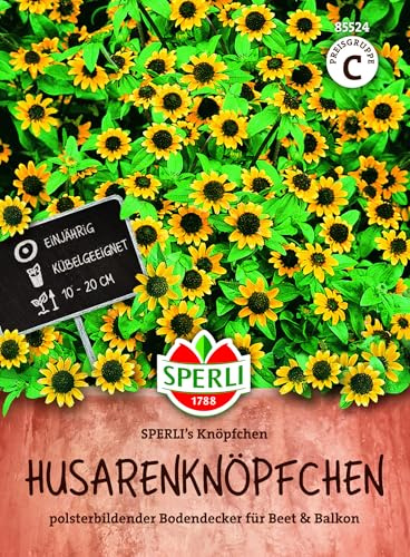 Sperli Husarenknöpfchen SPERLI's Knöpfchen 85524 - Blumensamen, Husarenknöpfchen, gelbe Blüten, flächig wachsender Bodendecker für Beet, Rabatte, Schalen und Einfassungen, Balkonblumen, 15-20 cm