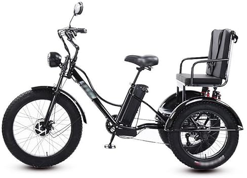 GplHAIN Triciclo Eléctrico para Adultos (7 Velocidades), Capacidad 159Kg, Llantas Anchas 61Cm, Batería Extraíble 48V/18Ah, Pantalla LCD Y Faro Delantero, Ideal para Ciudad Y Montaña Black