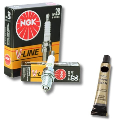 XTRM-CAR 4x Zündkerzen V-Line für VW Golf V 1.4 (75/80/90 PS) / 1.6 (102/115 PS) + Kupferfett