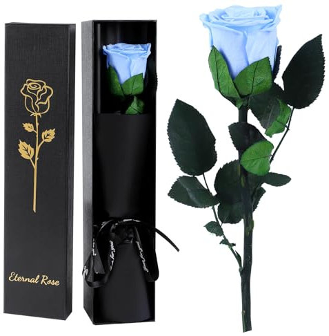 Ewige Infinity Rose Rot mit Stiel, Geschenke für Frauen, Ewige Rose in Geschenkbox, Konservierte Blume für Mama Freundin, Geburtstagsgeschenk Jahrestag Geschenk Frau (Hellblau)