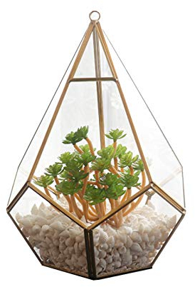 LTLCLZ Glass Plant Box Modern DIY Wall Mount Hanging Pyramid Geometric Terrarium Tabletop Succulent Display Clear Open Decorative Planter Flower Pot