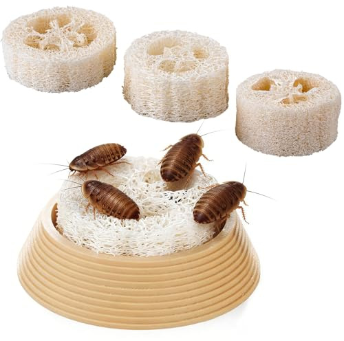 ORBIDYN Dubia Roach Water Dish with 3 Luffa Inserts – Feeder Bowl for Dubia Roaches Live, Isopods, Springtails, Crickets & Other Feeder Insects – Reptile Supplies for Terrariums and Enclosures
