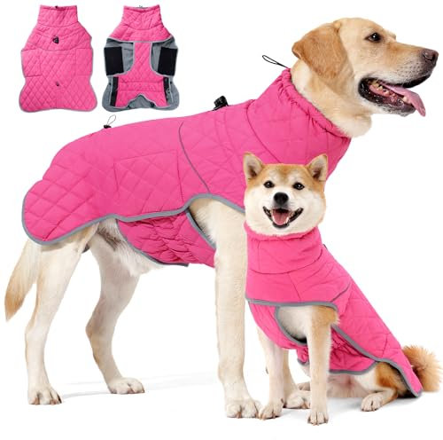 HEYWEAN Hundemantel Winter Wasserdicht Hundejacke mit D-Ring Warm Mantel Hund Fleece Hundepullover Reflektierende Wintermantel für kleine mittlere große Hunde Kleidung Hundejacke Wandern Winterweste