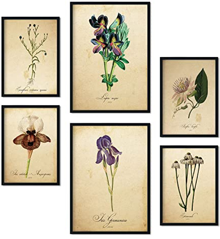 Nacnic Affischset med 6 vintage blommor kollektion lövsamling kollage heminredning A3 & A4 – utan ram