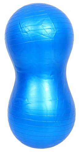 CONGARTENO Sensory Training Stability Yoga Ball with Pump, Blue Exercise Balance Ball for Physical Therapy and Early Childhood Development, Sturdy Fitness Trainer for Home and Gym Use