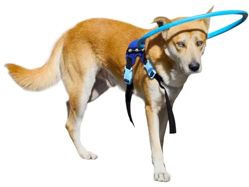 LetPetRun Collare a Halo Protettivo per Cani Ciechi, Collare Protettivo a Halo per Cani Ciechi, Imbracatura di Guida per Costruire la Fiducia, Accessori per Cani Ciechi, Taglia Media