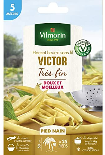Vilmorin Graines de Haricot Victor - 5 M